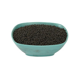 Yeşil Çim İçin Hümik Asit Granül En İyi Gübre