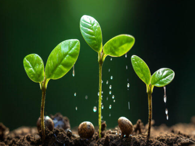 Humik asidin toprağın iyileştirilmesine etkisi