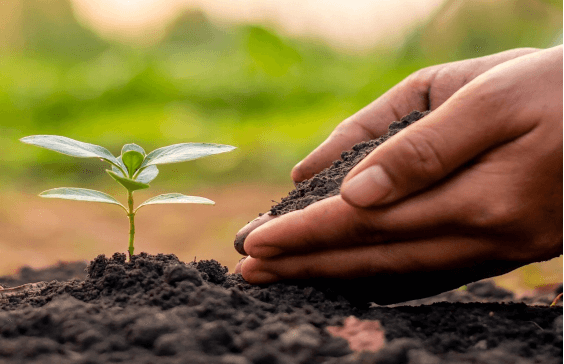 Hümik Asitin toprak üzerindeki iyileştirici etkisi - fiziksel etki.jpg