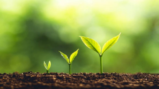 Hümik Asitin toprak üzerindeki iyileştirici etkisi - fiziksel etki.jpg