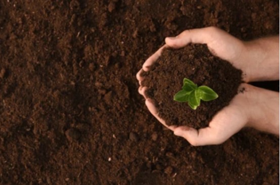 Hümik Asitin toprak üzerindeki iyileştirici etkisi - kimyasal etki.jpg