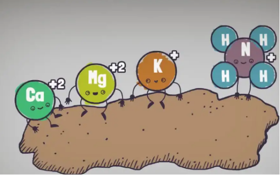 Hümik Asitin toprak üzerindeki iyileştirici etkisi - kimyasal etki.jpg