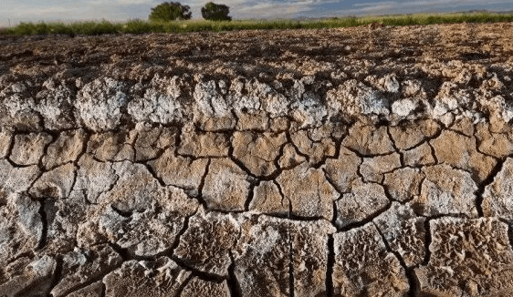 Tuzlu-alkali Land.jpg