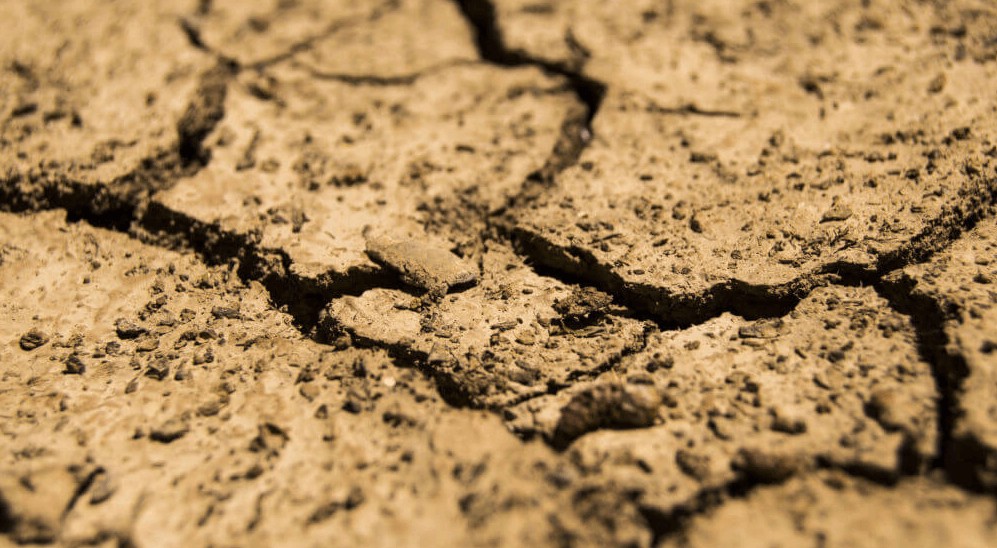 Asitlenmiş Toprak.jpg