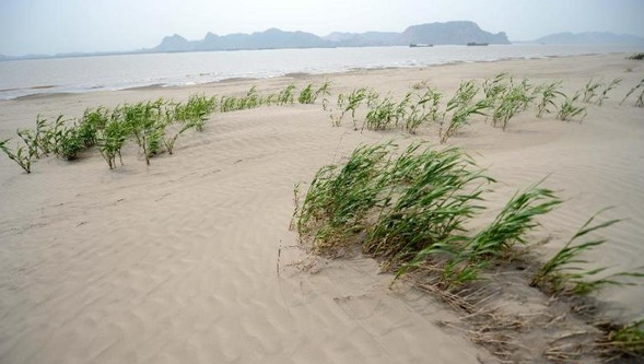 Çölleşmiş Toprak.jpg