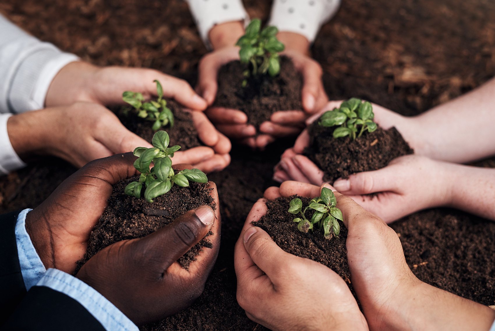 Mineral kaynaklı fulvik asidin sekiz işlevi ve beş etkisi.jpg