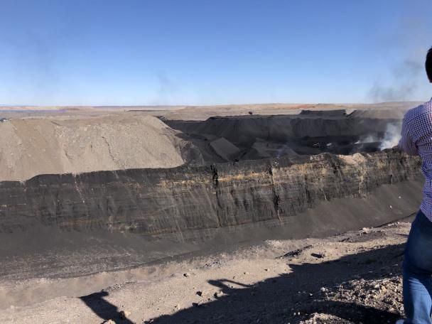 En Düşük Fiyatla Mükemmel Kalitede Hümik Asit Tozu.jpg