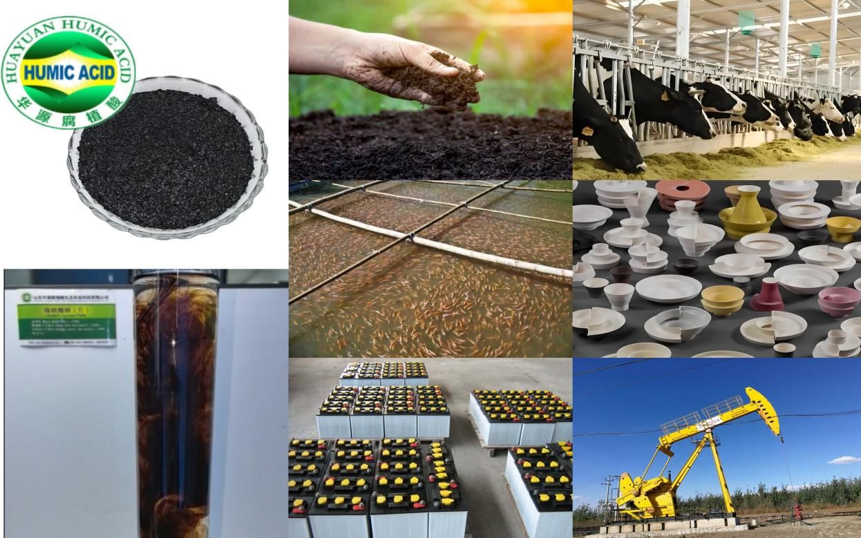 Stock.jpg'de Büyük İndirim Sodyum Humat