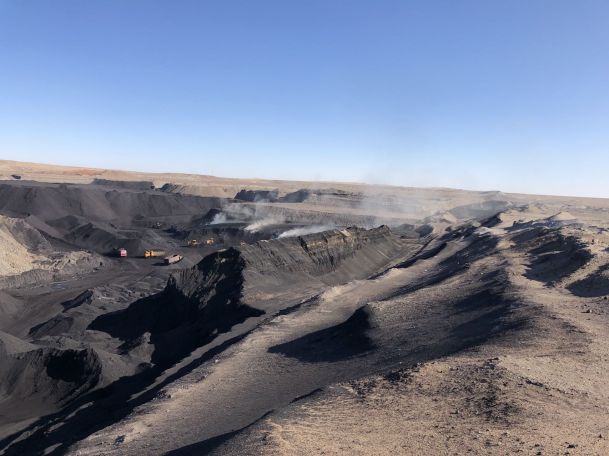 Çin En Düşük Fiyatla Yüksek Kaliteli Sodyum Humat.jpg