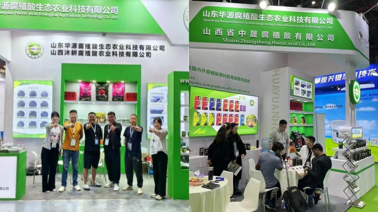 Çin'deki En İyi Fiyat Sodiun Humat Granül Üreticisi.jpg